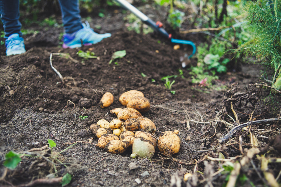 Humane – Humane Organics